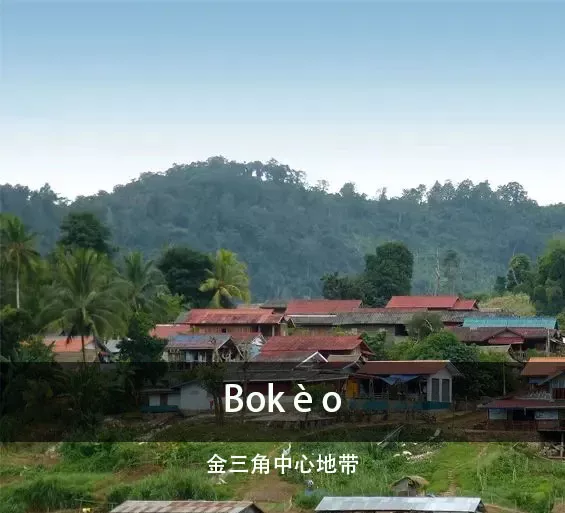博胶省